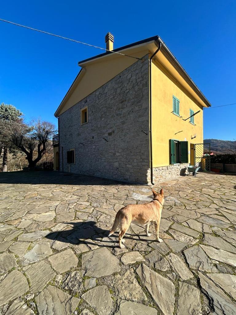 Il Gelso Pension Trivigno Buitenkant foto