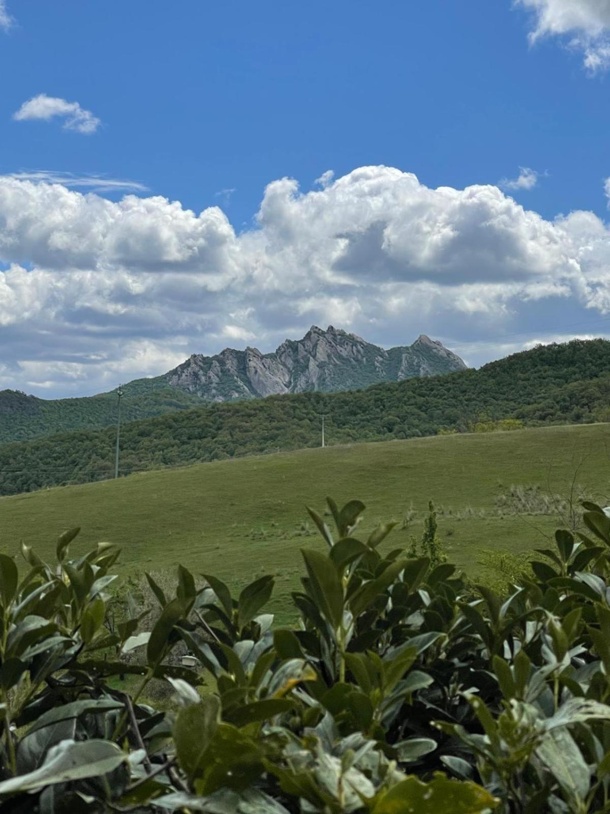 Il Gelso Pension Trivigno Buitenkant foto