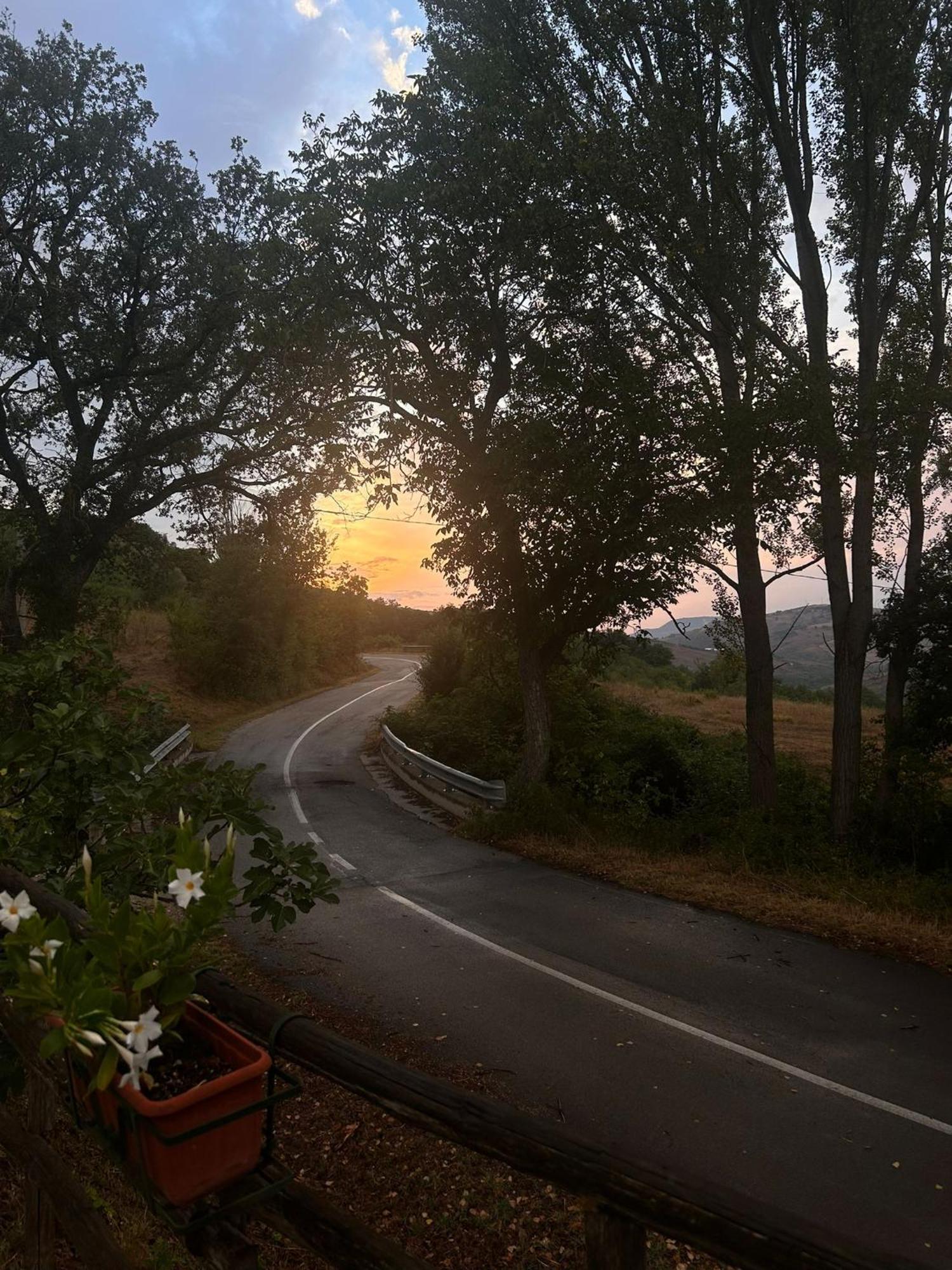 Il Gelso Pension Trivigno Buitenkant foto